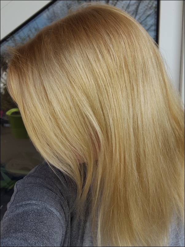 nutrisse blondtöne Garnier